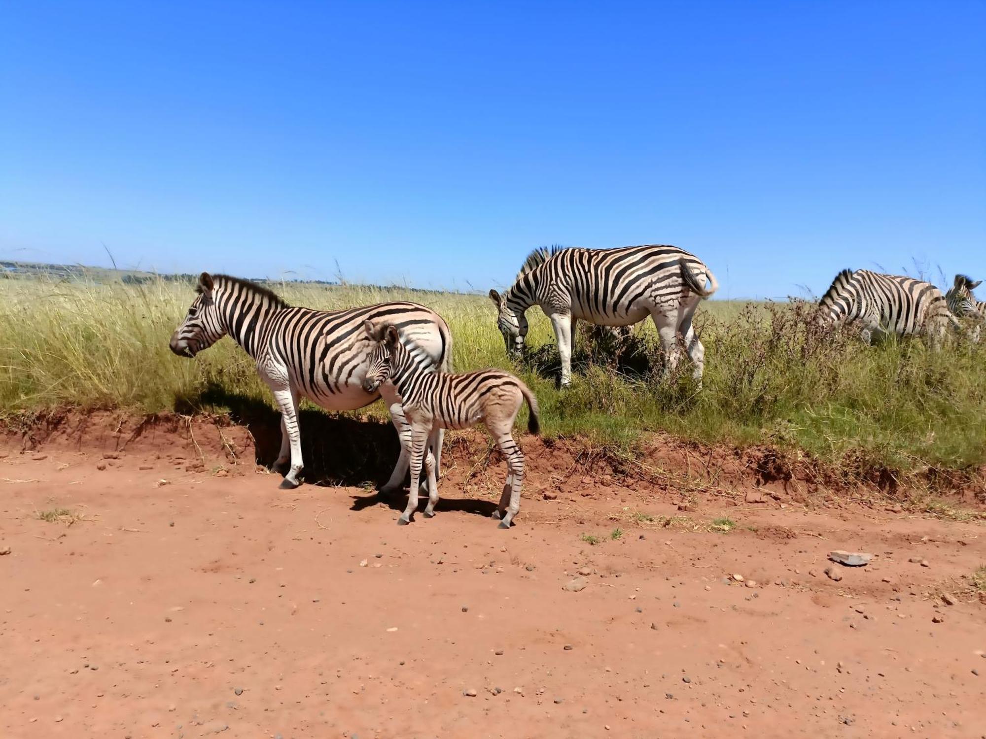 Sedgefield Lodge Witbank Eksteriør bilde